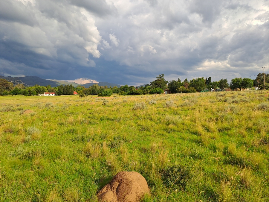 0 Bedroom Property for Sale in Rosendal Free State